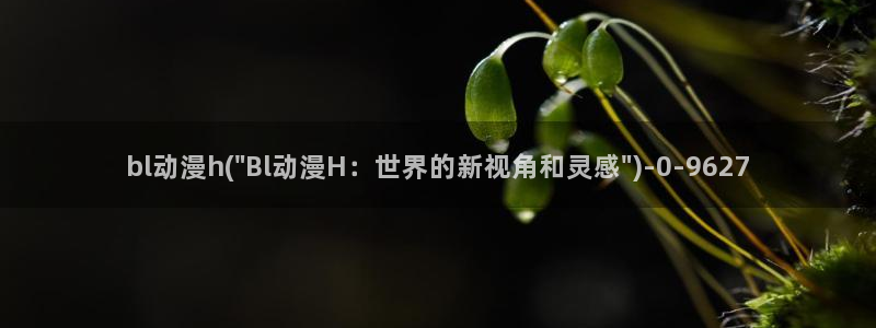 acg动漫网:bl动漫h(\